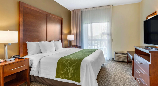 Люкс c 1 комнатой Holiday Inn Express & Suites Leesburg - Historic District by IHG