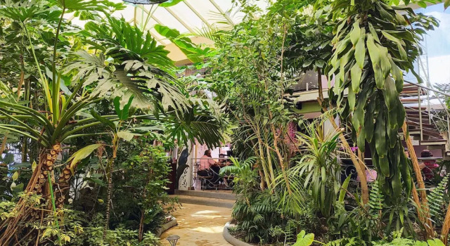 Двухместный номер Comfort Hotel Jardines del Centro