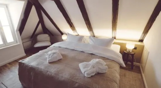 Двухместный номер Standard Мансарда Domus Balthasar Boutique Hotel