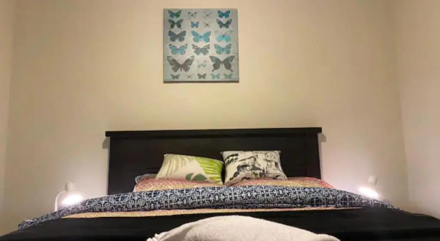 2 Bedroom House in Hamilton Central