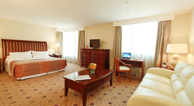Номер Superior Hotel Torremayor Lyon