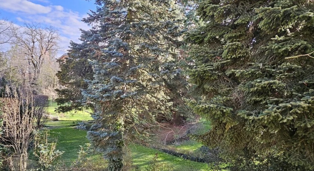 Standard chambre avec balcon et Vue jardin GrazRentals