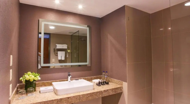 Двухместный полулюкс Pullman Lima San Isidro
