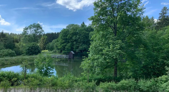 Апартаменты Haus am Kurpark