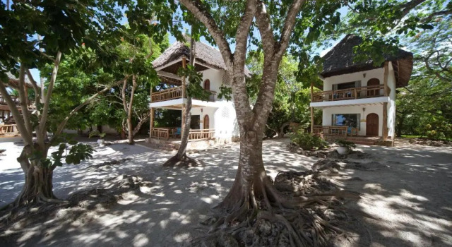 Okyanus manzaralı 1 yatak odası süit Waterlovers Beach Resort