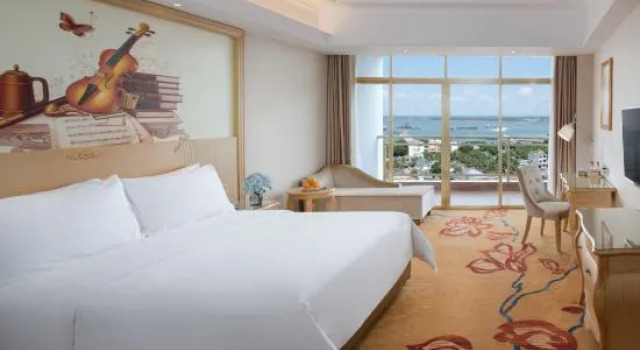 Люкс Deluxe Vienna International Hotel (Danzhou Yangpu)