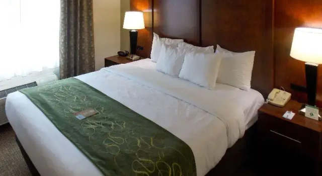 Номер Standard Comfort Suites Inn at Ridgewood Farm