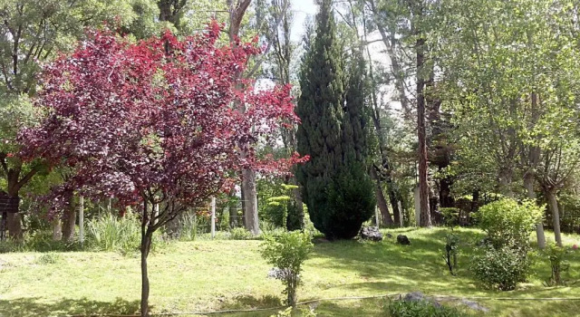 Шале La Casa del Tata