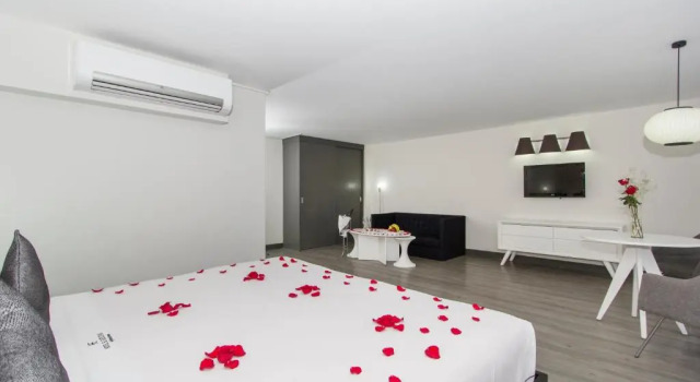 Двухместный номер Deluxe Hotel El Ejecutivo by Reforma Avenue
