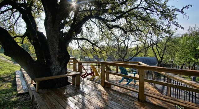 Семейный номер Standard Live Oak B&B