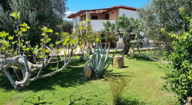 Villa Stella - Salento Puglia, Book Villa Sommerhuse i Murgia, Hytte