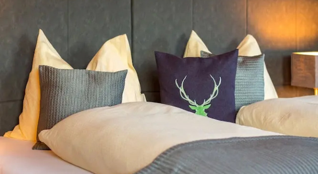 Номер Deluxe Das Grünholz Aparthotel