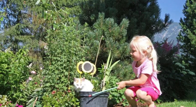 Rosspointnerhof, Varaa Hotelli Hotellit Liezen pysäköinnillä, Pysäköinti