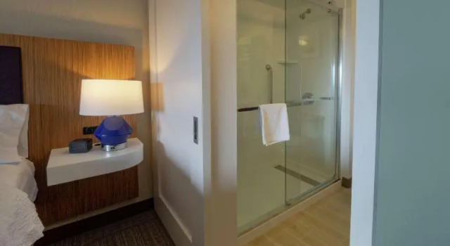 Suite Hampton Inn Hazleton