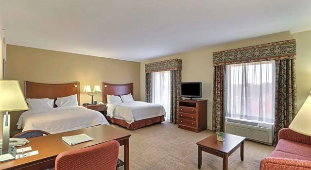 Двухместная студия Hampton Inn & Suites Savannah - I-95 South - Gateway