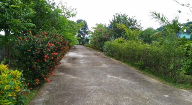 Chuanchom Resort Phuwiang