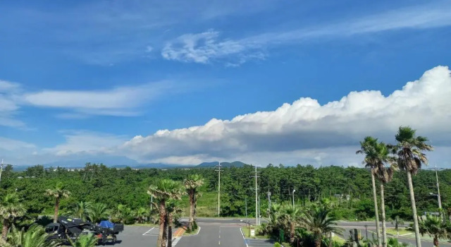Номер Deluxe Blue Hawaii Resort