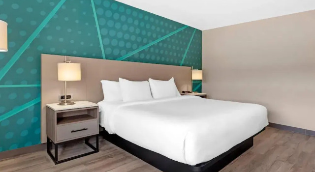 Standardní Dvoulůžkový s manželskou postelí suterén pokoj Sleep Inn Muskoka