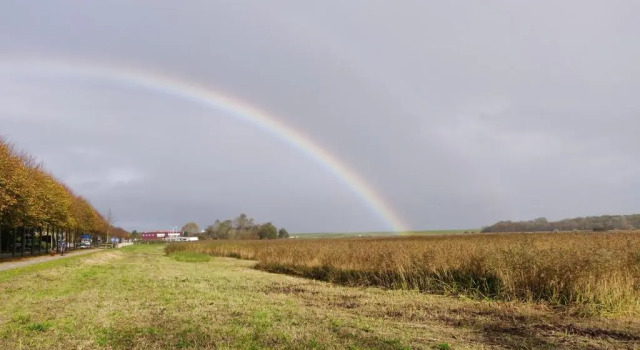 Коттедж Vakantiebungalow Texel