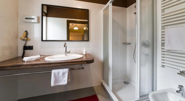 Номер Standard Hotel Scherer