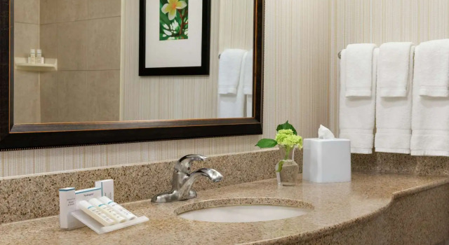Четырёхместный номер Standard с видом на город Hilton Garden Inn Saskatoon Downtown