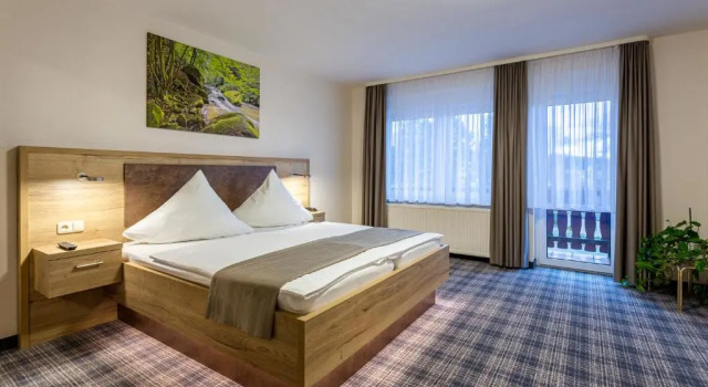 Номер Standard Hotel Zur Aussicht
