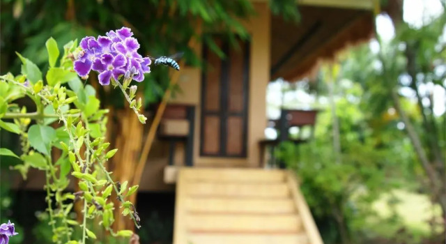 Вилла Superior IngNatee Resort