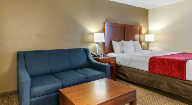 Двухместный номер Standard Comfort Inn Chattanooga Downtown Southside