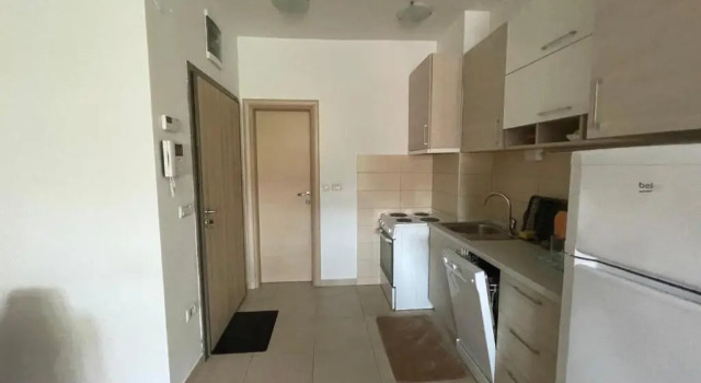 Apartament 1 dormitor Ruzveltova 44