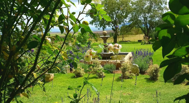 Шале Affi lande Boetiek guestfarm