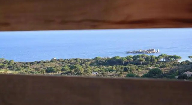 Les Terrasses de Scalegiu, Prenota Hotel Hotel a Corsica con piscina, Piscina