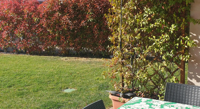 CASA VACANZE DA RIKI, Prenota Hotel Hotel a Veneto con piscina, Piscina