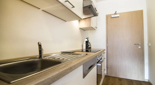 Люкс Comfort Mountain View Apartments