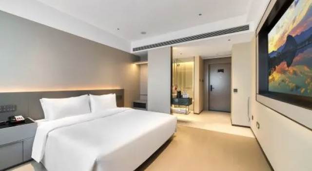 Двухместный номер Business Songyang Tianyuan International Hotel