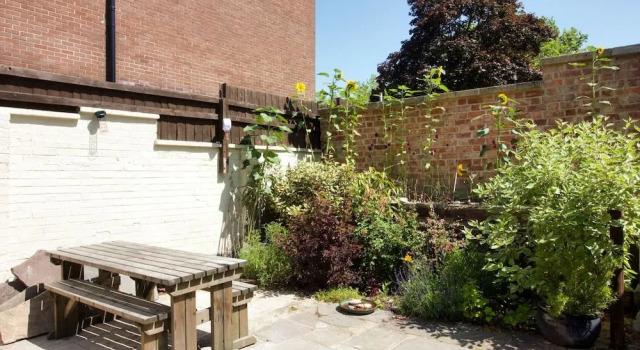 The Green Parrot