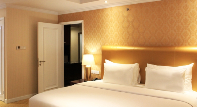 Двухместный люкс Business Adimulia Hotel Medan