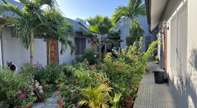 Номер Standard Pasifika Guesthouse