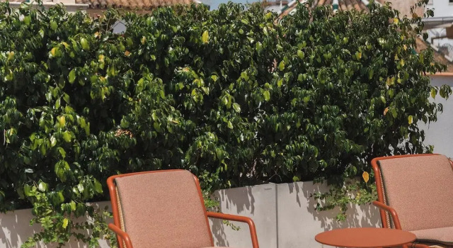 Люкс Deluxe Mercer Residences Sevilla