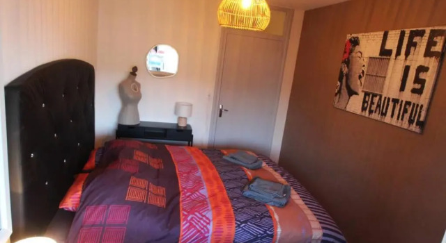 Grand F3 cosy centre Clermont-Ferrand avec garage