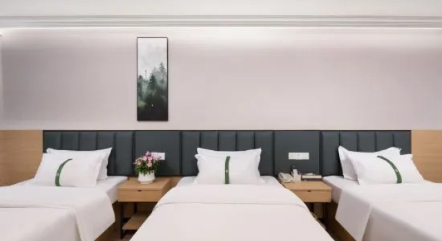Трёхместный номер Business GreenTree Inn Linyi International Convention Center Express Hotel