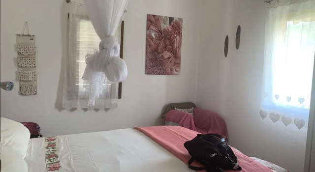 Domus Rio Papagaio
