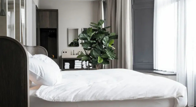 Четырёхместный семейный номер Standard Hotel Abdij Dokkum