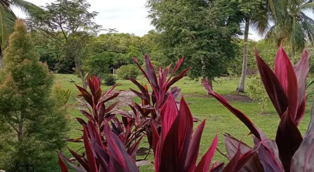 Villa de Lagoon View