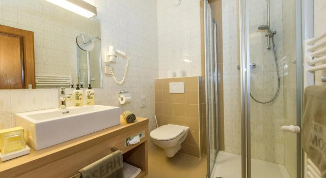 Одноместный номер Deluxe Hotel Moserhof