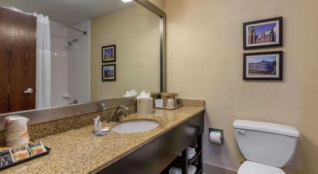 Двухместный номер Standard Comfort Inn Horn Lake - Southhaven