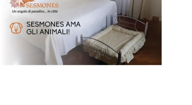 Трёхместный номер Deluxe Hotel Sesmones
