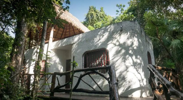 Номер Standard Jolie Jungle Eco Hotel