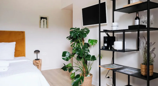 Номер Luxury Villa Parkbos