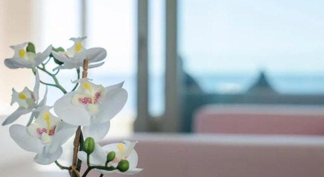 Апартаменты Apartamento s' Estanyol Mar