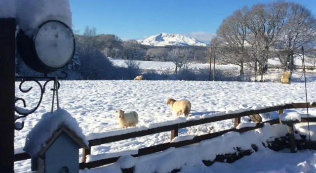 Коттедж Tryfan Cottage